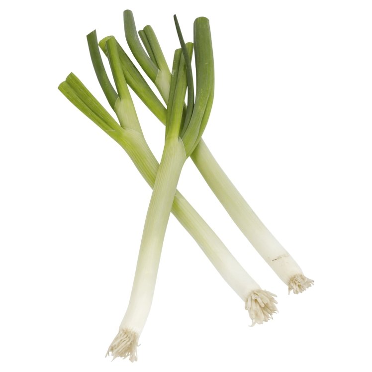 Green onion