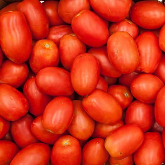 Tomatoes